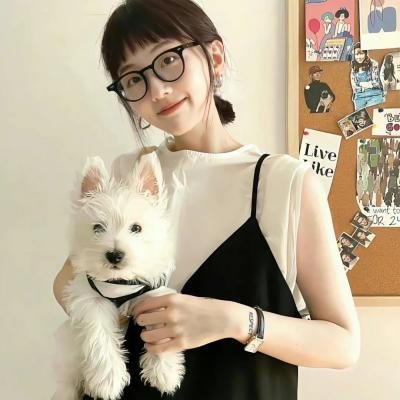 漫画威龙
